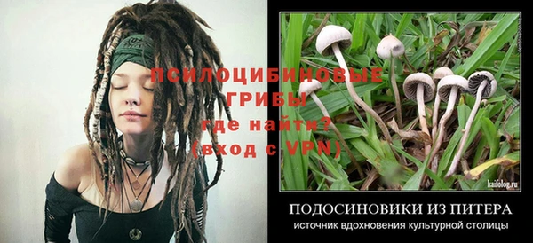 каннабис Осинники