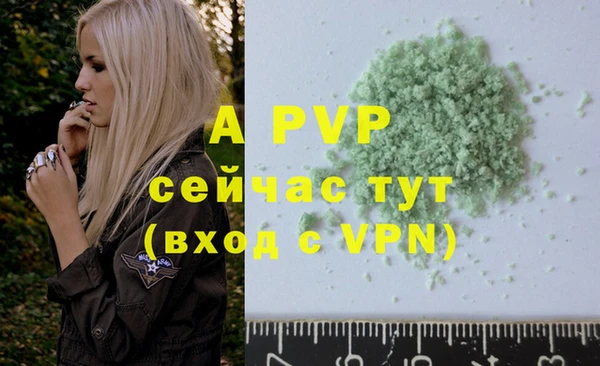 спайс Пересвет