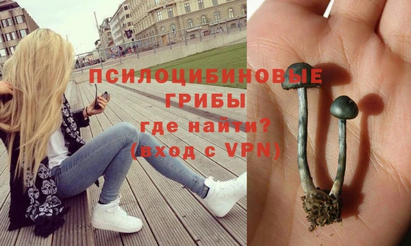спайс Пересвет