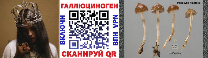 Псилоцибиновые грибы Magic Shrooms  МЕГА рабочий сайт  Новосиль 